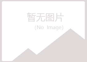 邢台夏岚咨询有限公司